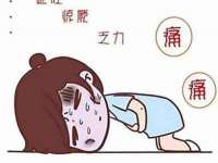 苏州智贝服饰有限公司